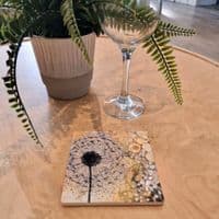 Ochre Dandelion 1 Coaster