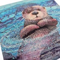 Otter Coaster