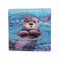Otter Coaster
