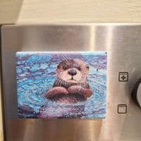 Otter Magnet