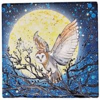 Owl Coaster