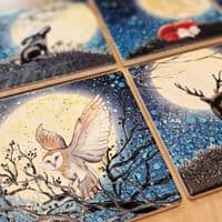 Owl Coaster