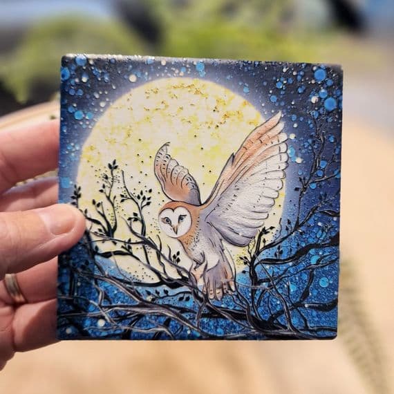 Owl Coaster