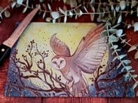 Owl Worktop Saver (14-WTS)