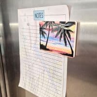 Palm Trees Magnet