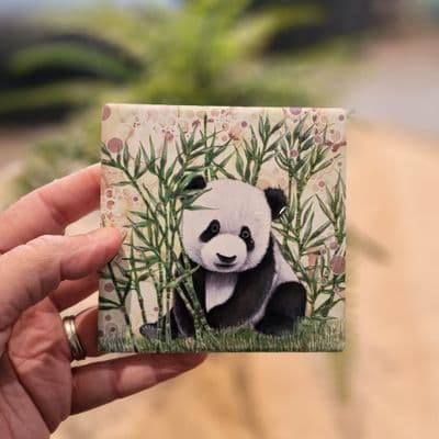 Panda Coaster