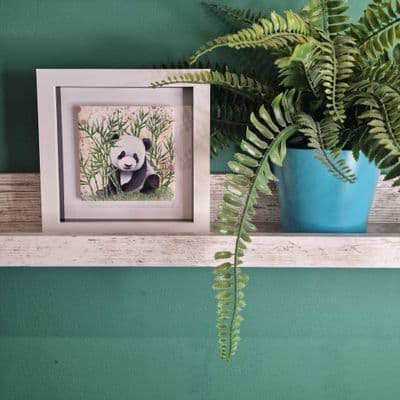 Panda Small Picture
