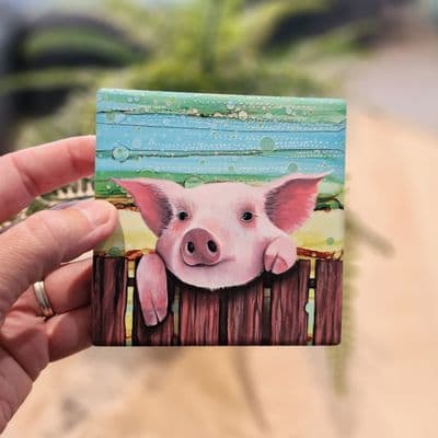 Pig Coaster