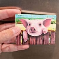 Pig Magnet