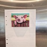 Pig Magnet