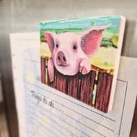 Pig Magnet
