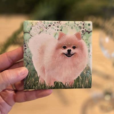 Pomeranian Dog Coaster