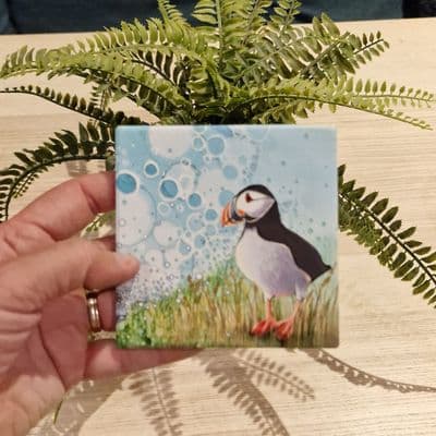 Puffin Coaster