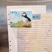 Puffin Magnet