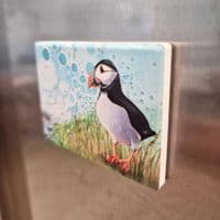 Puffin Magnet