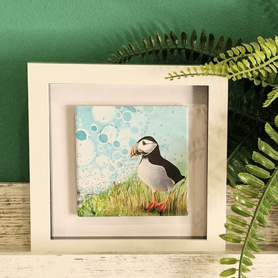 Puffin Small Picture 2