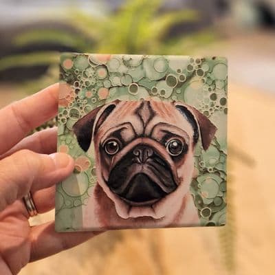 Pug Dog Coaster