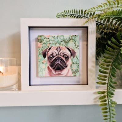 Pug Dog  Small Picture