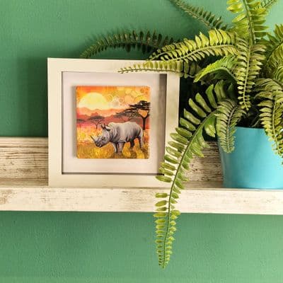 Rhino  Small Picture