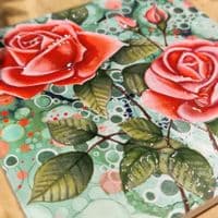 Roses Coaster