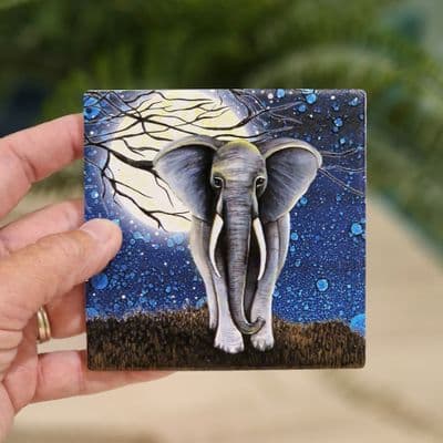SG Elephant Coaster