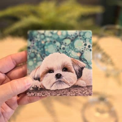 Shih Tzu Dog Coaster