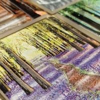 Spring Ceramic Coaster - Woodland Walk