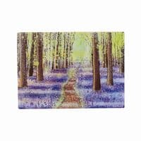 Spring Worktop Saver