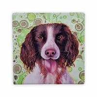 Springer Spaniel Dog Coaster