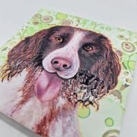 Springer Spaniel Dog Coaster