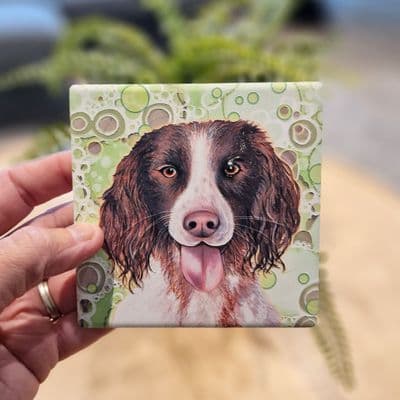 Springer Spaniel Dog Coaster