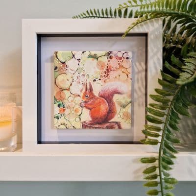 Squirrel Small Picture