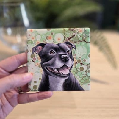 Staffordshire Bull Terrier Dog Coaster