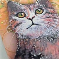 Tabby Cat Coaster