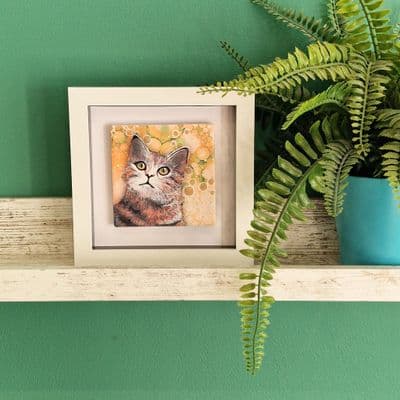 Tabby Cat Small Picture