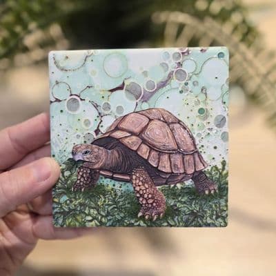 Tortoise Coaster