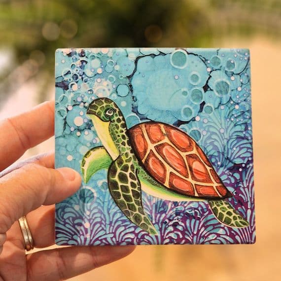 Turtle Coaster