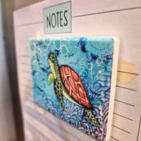 Turtle Magnet