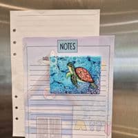 Turtle Magnet