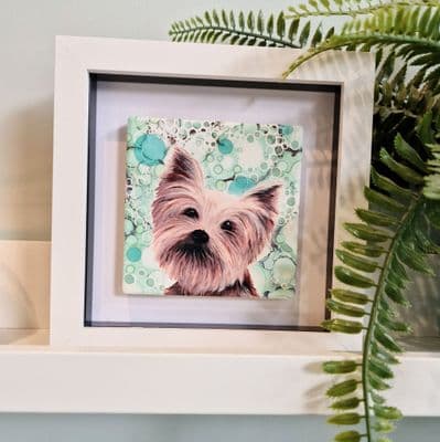 Yorkshire Terrier Dog  Small Picture
