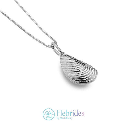Metta Shell Pendant Necklace main image 1