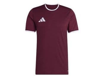 Adidas ENT26 Short Sleeve Jersey Men (Maroon)