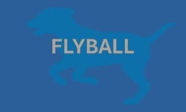 FLYBALL