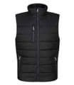 Thermal Bodywarmer (TRA892)