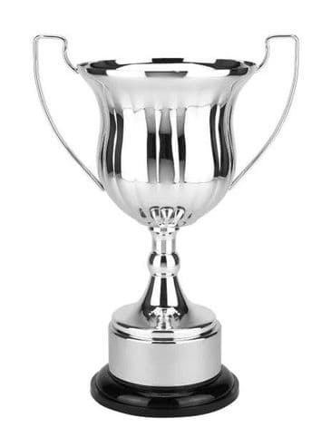 TROPHIES & AWARDS