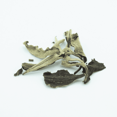 Silver Moonlight Wild White Tea