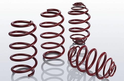 REDLINE Fiesta ST180 Special Edition Level Springs