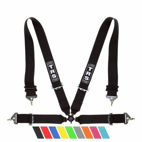 TRS Magnum 4 Point Harness