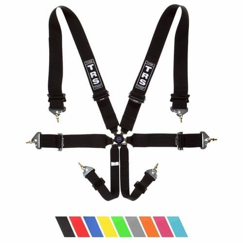 TRS Magnum Superlite 6 Point Harness