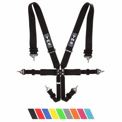 TRS Pro 6 Point Harness